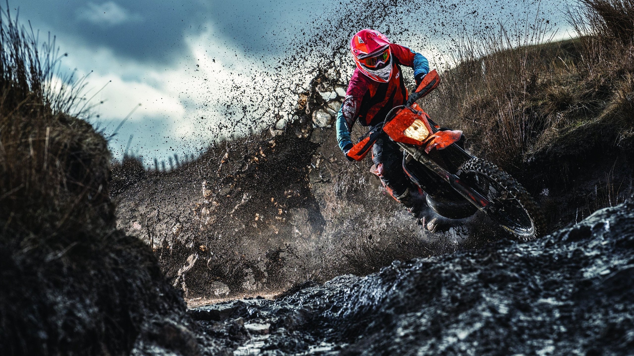 西决生死战，当森林狼的狼嚎响彻深圳湾